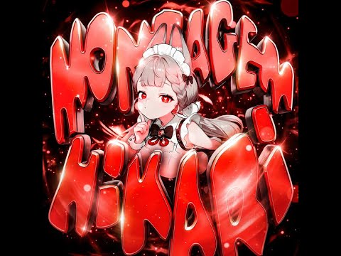 BellyJay - MONTAGEM HIKARI