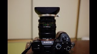 shot by Helios44M58mm/f2 on Sony A7III(sample photo)