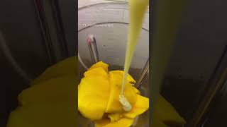 Download lagu RESEP JUS MANGGA ENAK DAN SEHAT #beverage #drink #healthy mp3 Download lagu RESEP JUS MANGGA ENAK DAN SEHAT #beverage #drink #healthy mp3