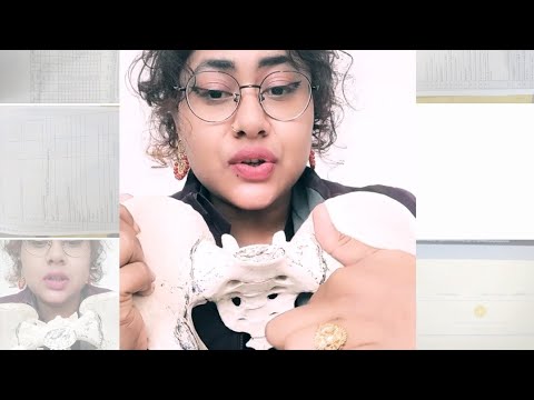 pelvic landmarks @NGMedicals