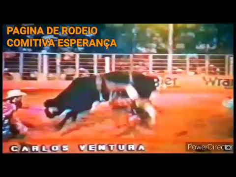 CARLOS VENTURA &TOURO PELÉ (CIA RENAN ROCHID)