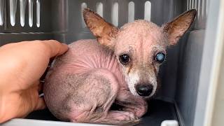 Riddled With a Lifetime of Brutality, She Curled Up Crying Because She Was Never Loved Before