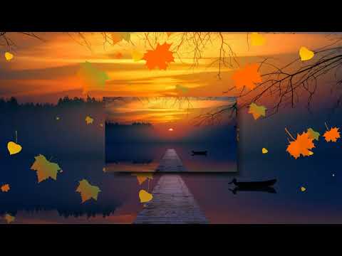 Như cánh chim trời Sheet - Duy Trác