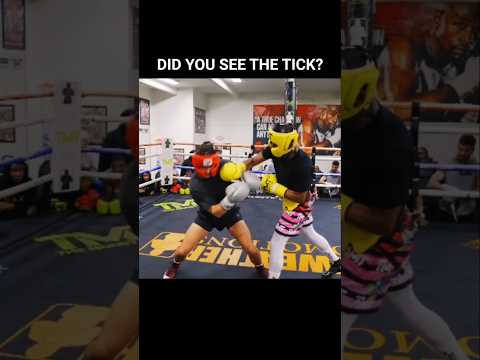 Floyd Mayweathers Counter Punch