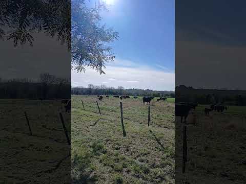 Acceso desde Ruta 12. Aldea Santa Maria. Dpto. Parana. Entre Rios. Parte 09