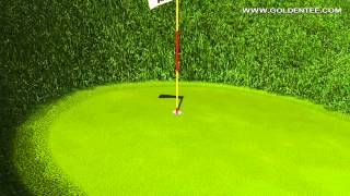 preview picture of video 'Golden Tee Great Shot on Cape Haven!'
