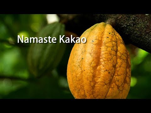 Zotter: Cocoa movie India  - "Namaste Kakao" (22 Min. Hungarian | magyar)