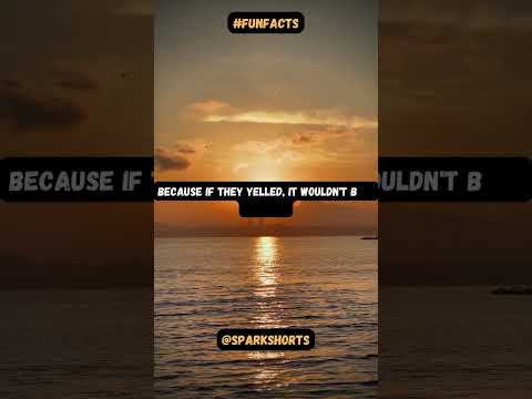 Have you ever wondered why librarians shush people?#funfacts #youtubeshorts#shorts #shortvideo#facts