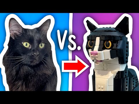 CATS  Vs. LEGO Challenge!