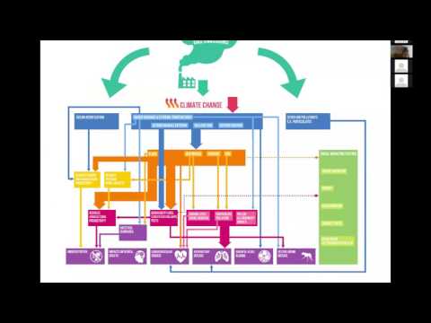 Dr. Nick Watts: Climate change, air pollution and health