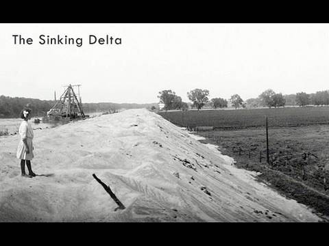 Saving the Bay - The Sinking Delta