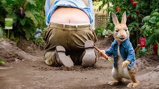 Download lagu The Naughtiest Rabbits Ever! - PETER RABBIT Movies Best Scenes & Funniest Moments mp3