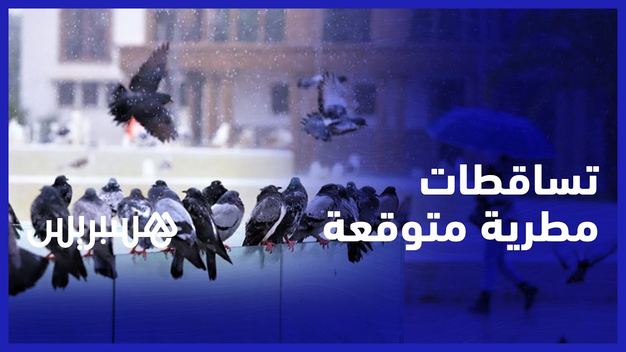 تساقطات مطرية متوقعة.. الأرصاد الجوية ترصد منخفضا جويا يخلف أمطارا ودرجات حرارة منخفضة thumbnail