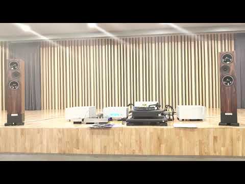 12 LivingVoice IBX-R3 + Kuzma Stabi R + Ypslon VPS -100 + PST-100MK II + AELIUS II Monoblock