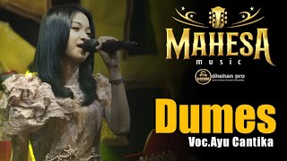 Download lagu DUMES  AYU  CANTIKA MAHESA MUSIC DHEHAN AUDIO mp3