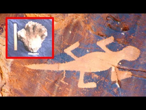 Could A Giant Prehistoric Lizard Be Living In Australia?