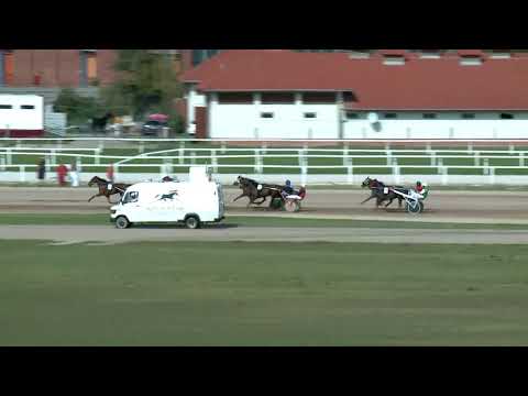 2017.09.16. 2. futam - ISTIS JEREZ DÍJ