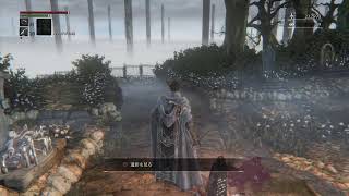 ブラットボーンやるやよ！