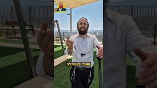 סיפור ראשון - החמור והכלב