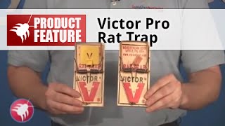 12 Victor Mouse Trap M040 Wooden Mouse Trap, Lot of 12