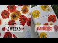 Pressed Dried Flower 🌼 in a Minute