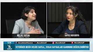 Bursa VHO  Başkanı Veteriner Hekim Melike Baysal, Sokak Hayvanları Kan