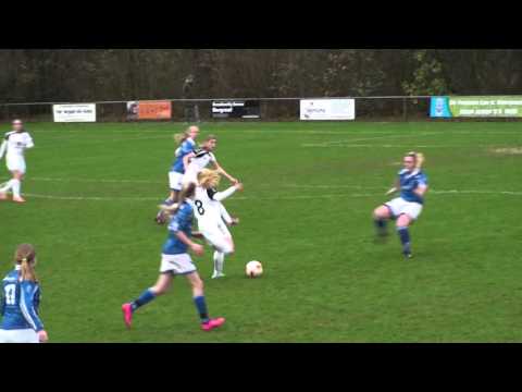 VIOD VR1   Jong Telstar