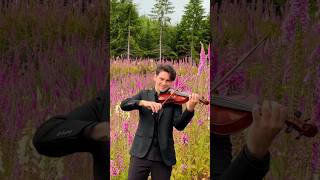 Download lagu FELICITÀ – Violin Cover in a Magical Wildflower Field | Cinematic Violin in Seattle Nature mp3 Download lagu FELICITÀ – Violin Cover in a Magical Wildflower Field | Cinematic Violin in Seattle Nature mp3