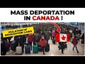 Canada Update 2024 ( Mass Deportation At Canada Airports )