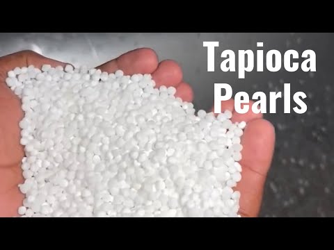 How Tapioca Pearls Are Made | Sago Factory