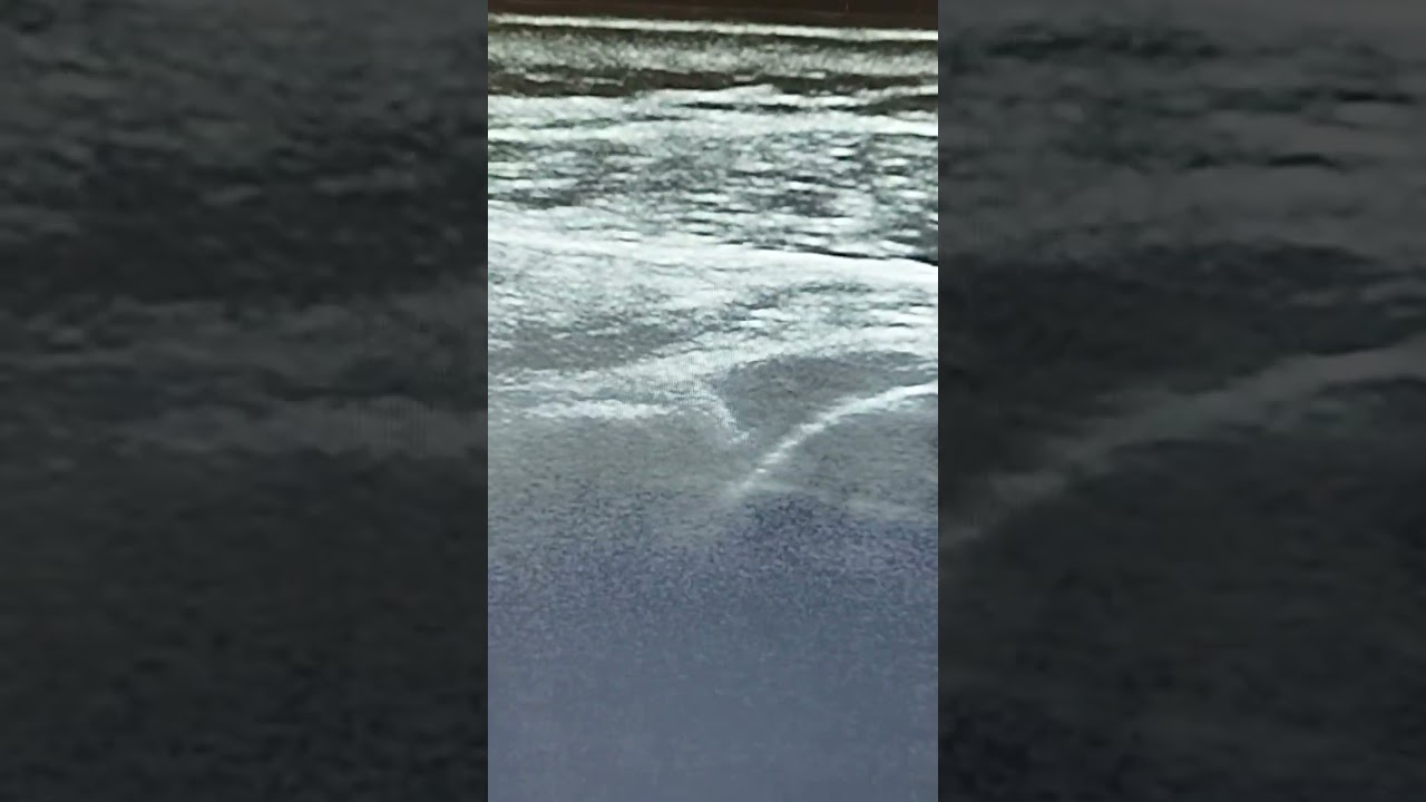 Roberto-Paolo Zambelli-27