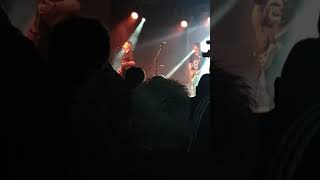 Macc lads live in Lincoln Doctor doctor... dead cat