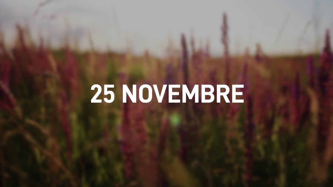 25 Novembre 2025 | Meditazione Parole di Vita