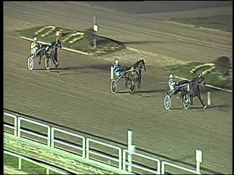 Trotto 01/12/2015 - 3° prova di qualifica &riqualifica