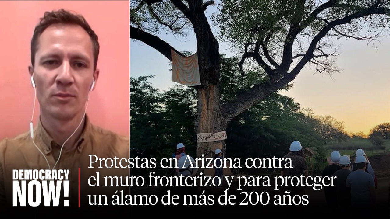Activistas protegen un álamo de más de 200 años para evitar la construcción del muro fronterizo