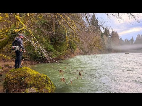 You Don’t Catch These Fish… You Earn Them | Olympic Peninsula Steelhead