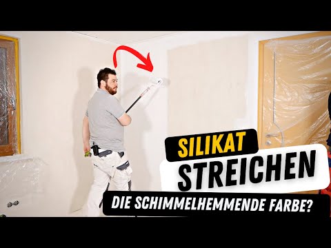 Silikatfarbe STREICHEN | Welche Rollen & Kosten?