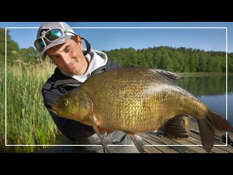 WYSTARCZYŁO JEDNO NĘCENIE | PB LESZCZA & LINY | Odcinek 3 | S12Ep22