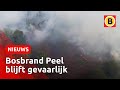 Grootste Nederlandse bosbrand ooit blijft oplaaien | Omroep Brabant