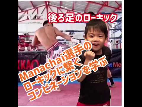 Manachai選手のローキックを盗む！！
