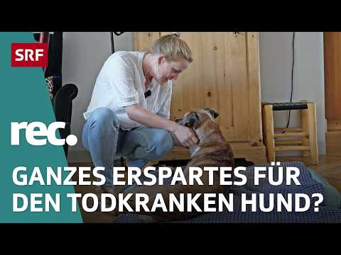 Wenn das Haustier stirbt - Die Trauer, die viele nicht ernst nehmen | Reportage | rec. | SRF