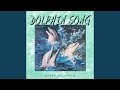 Dolphin Song