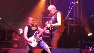 D.O.A. - Already Dead  "Live@Rebellion Festivals"