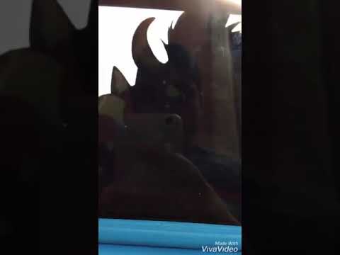 Mariocules part 24 - A deal is made