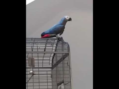 https://www.youtube.com/watch?v=YO8NUgdMonk