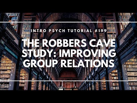 Intro to Social Psychology Intro Psych Tutorial 186