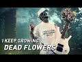 "Dead Flowers" Malukah - lyrics [OFFICIAL]