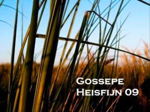 William Orbit vs Chicane vs Robin S - Show me Purdy (Heisfijn mash up)