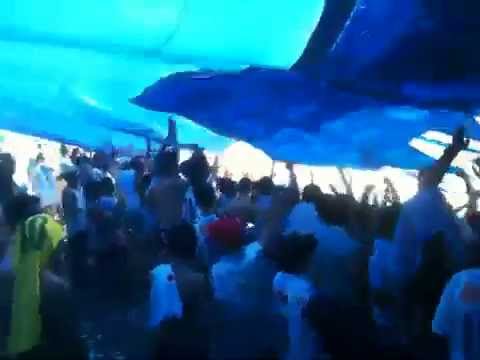 Torcida Falange Azul da Show no Paranaense 2013 - LONDRINA EC 4 x 0 NACIONAL AC