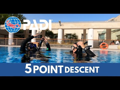 HOW TO perform a 5 POINT DESCENT | PADI SCUBA SKILLS
